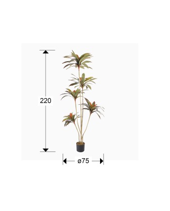 DRACENA ROJA-PLANTA ARTIFICIAL H220